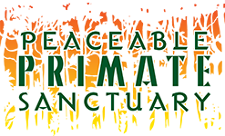 Peaceable Primate Sanctuary