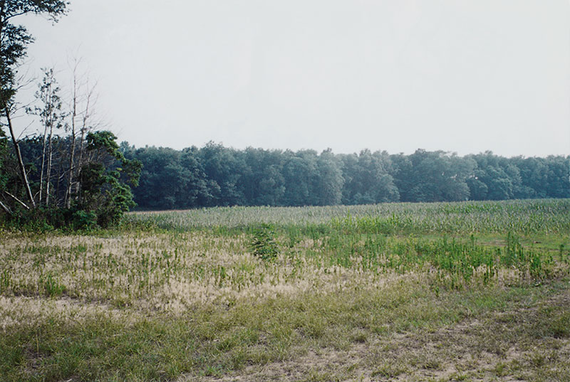 Sanctuary Land