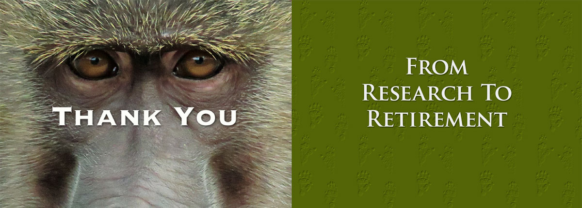 Thank You! From Research to Retirement